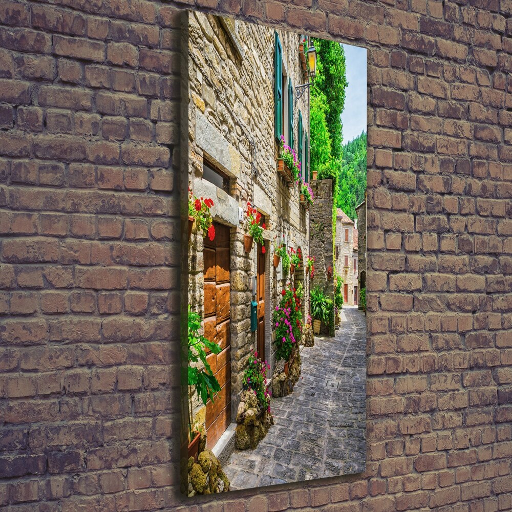 Tableau sur toile Une rue charmante