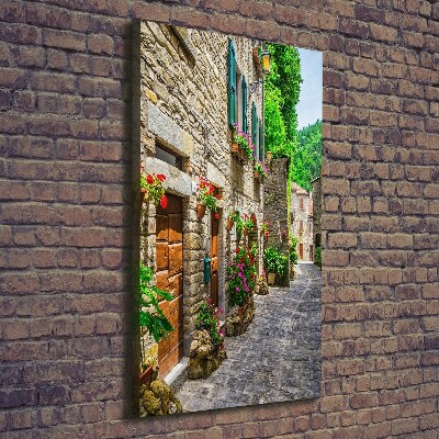 Tableau sur toile Une rue charmante