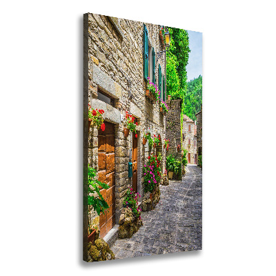 Tableau sur toile Une rue charmante