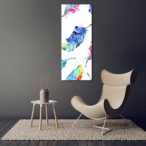 Tableau toile imprimée Plumes colorées