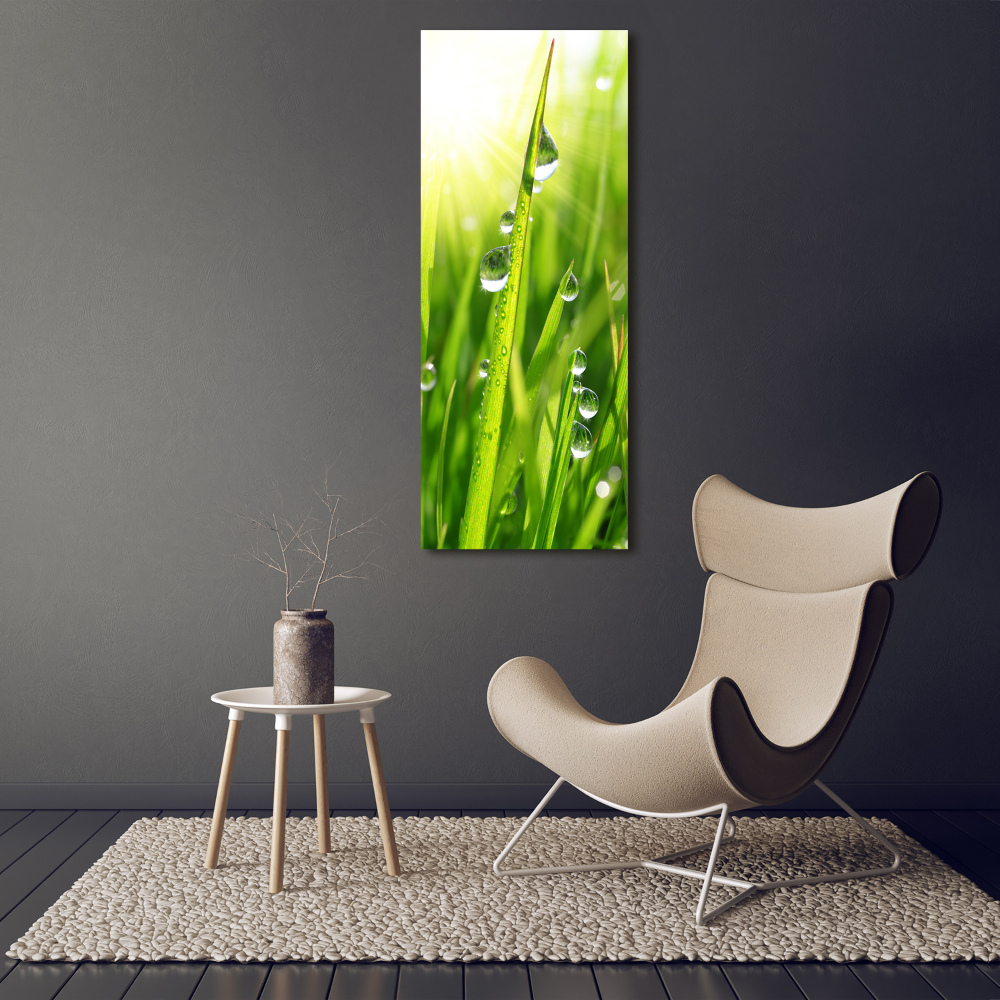 Tableau imprimé sur toile Tiges d'herbe