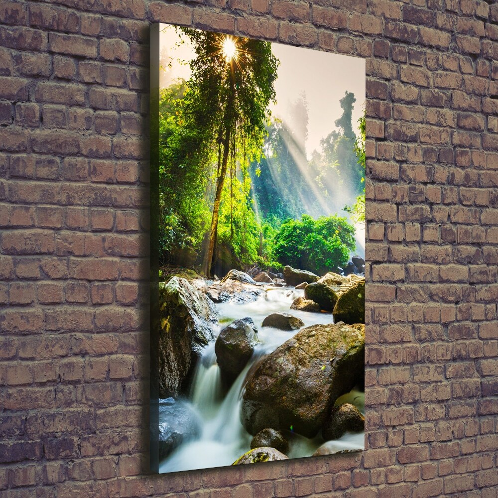 Tableau imprimé sur toile Cascade dans la forêt