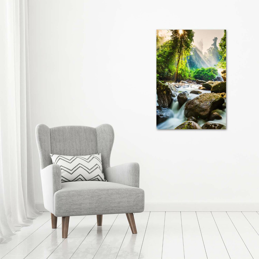 Tableau imprimé sur toile Cascade dans la forêt