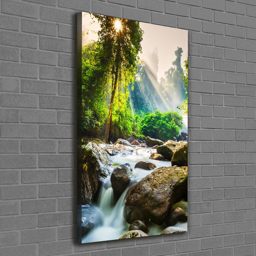 Tableau imprimé sur toile Cascade dans la forêt