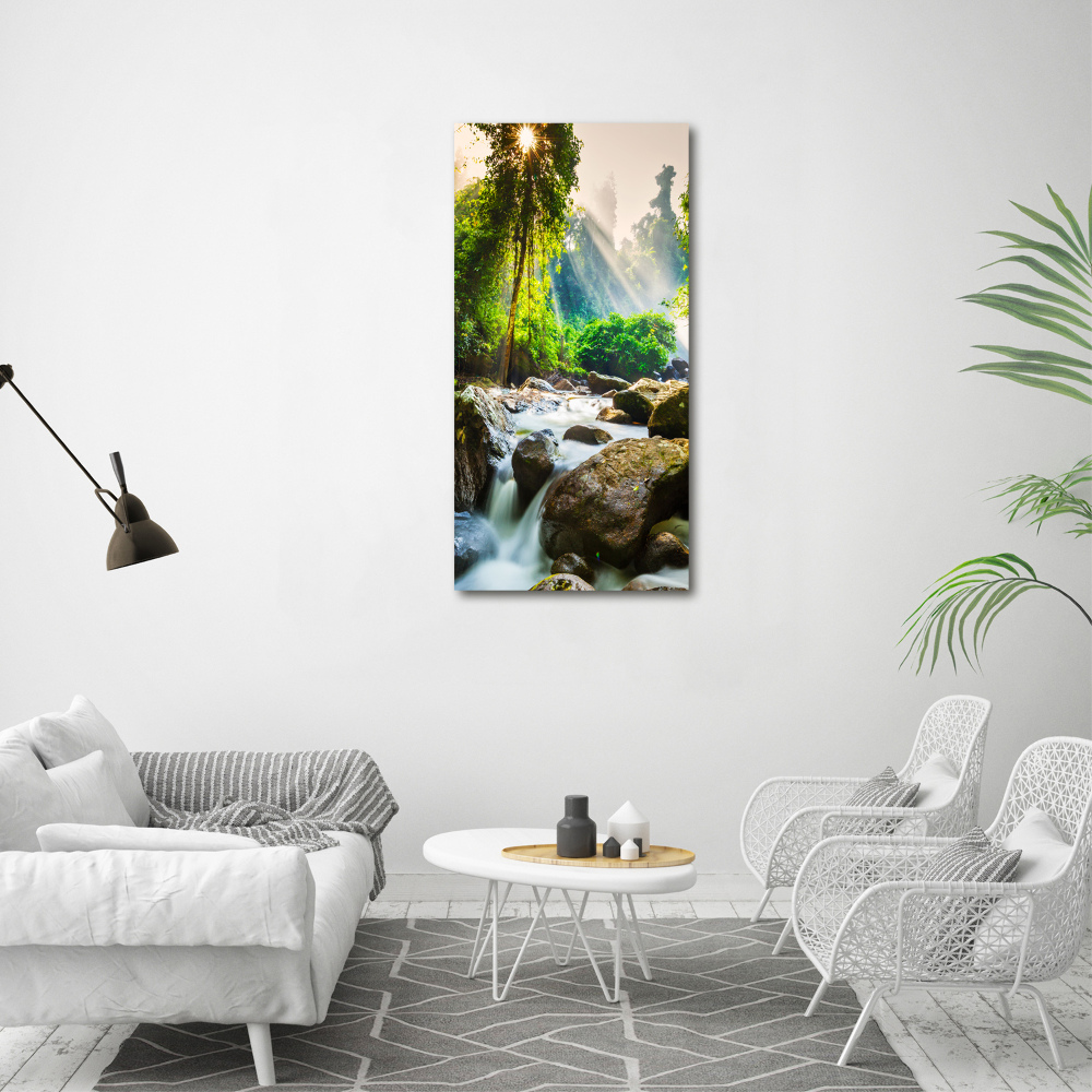 Tableau imprimé sur toile Cascade dans la forêt