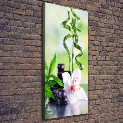 Tableau mural sur toile Bamboo