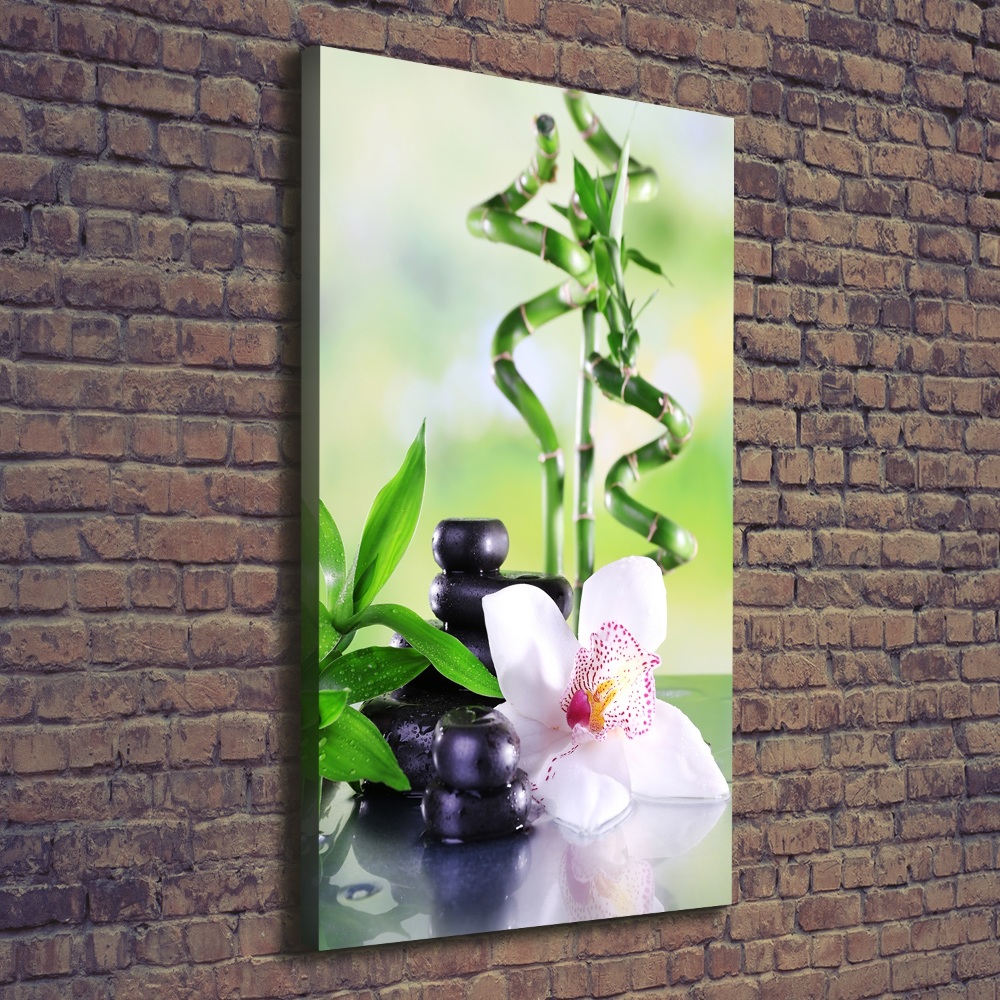 Tableau mural sur toile Bamboo