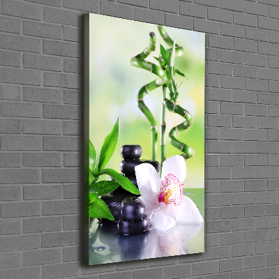 Tableau mural sur toile Bamboo