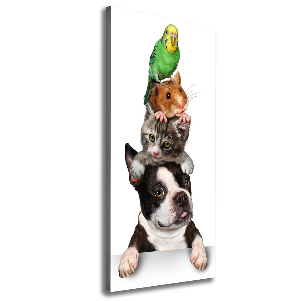 Tableau sur toile Animaux de compagnie