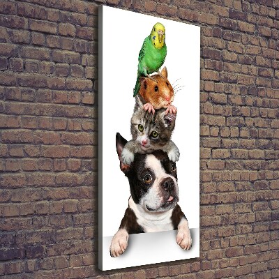 Tableau sur toile Animaux de compagnie