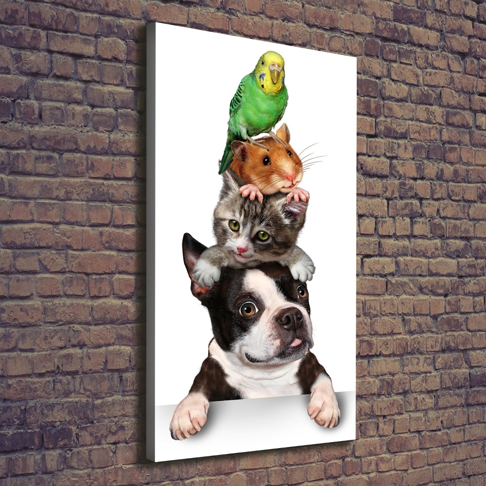 Tableau sur toile Animaux de compagnie