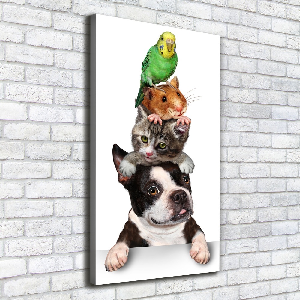 Tableau sur toile Animaux de compagnie