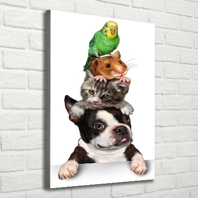 Tableau sur toile Animaux de compagnie