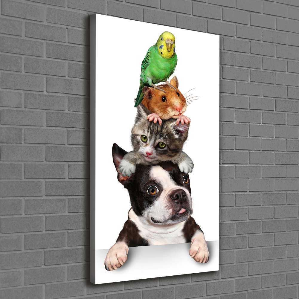 Tableau sur toile Animaux de compagnie