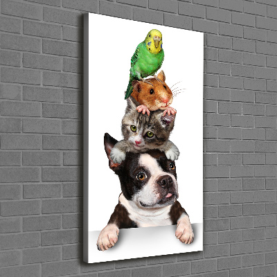 Tableau sur toile Animaux de compagnie