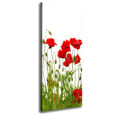 Tableau imprimé sur toile Coquelicots des champs