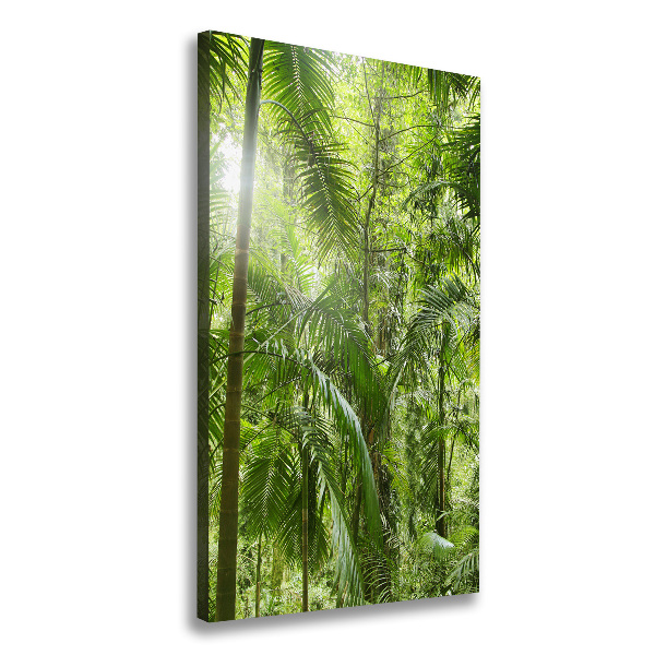 Forêt tropicale