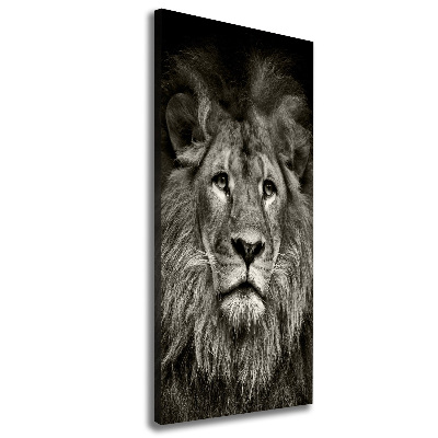 Tableau photo sur toile Lion