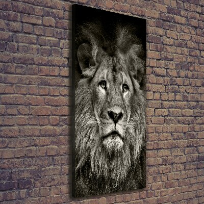 Tableau photo sur toile Lion