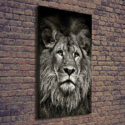 Tableau photo sur toile Lion