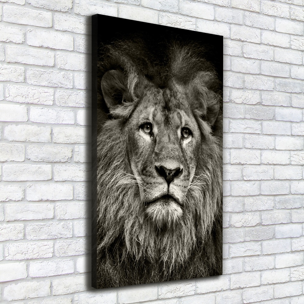 Tableau photo sur toile Lion