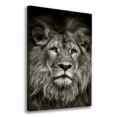 Tableau photo sur toile Lion