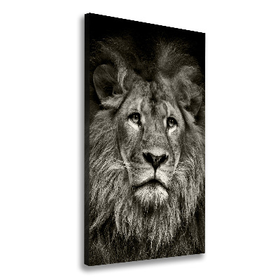 Tableau photo sur toile Lion