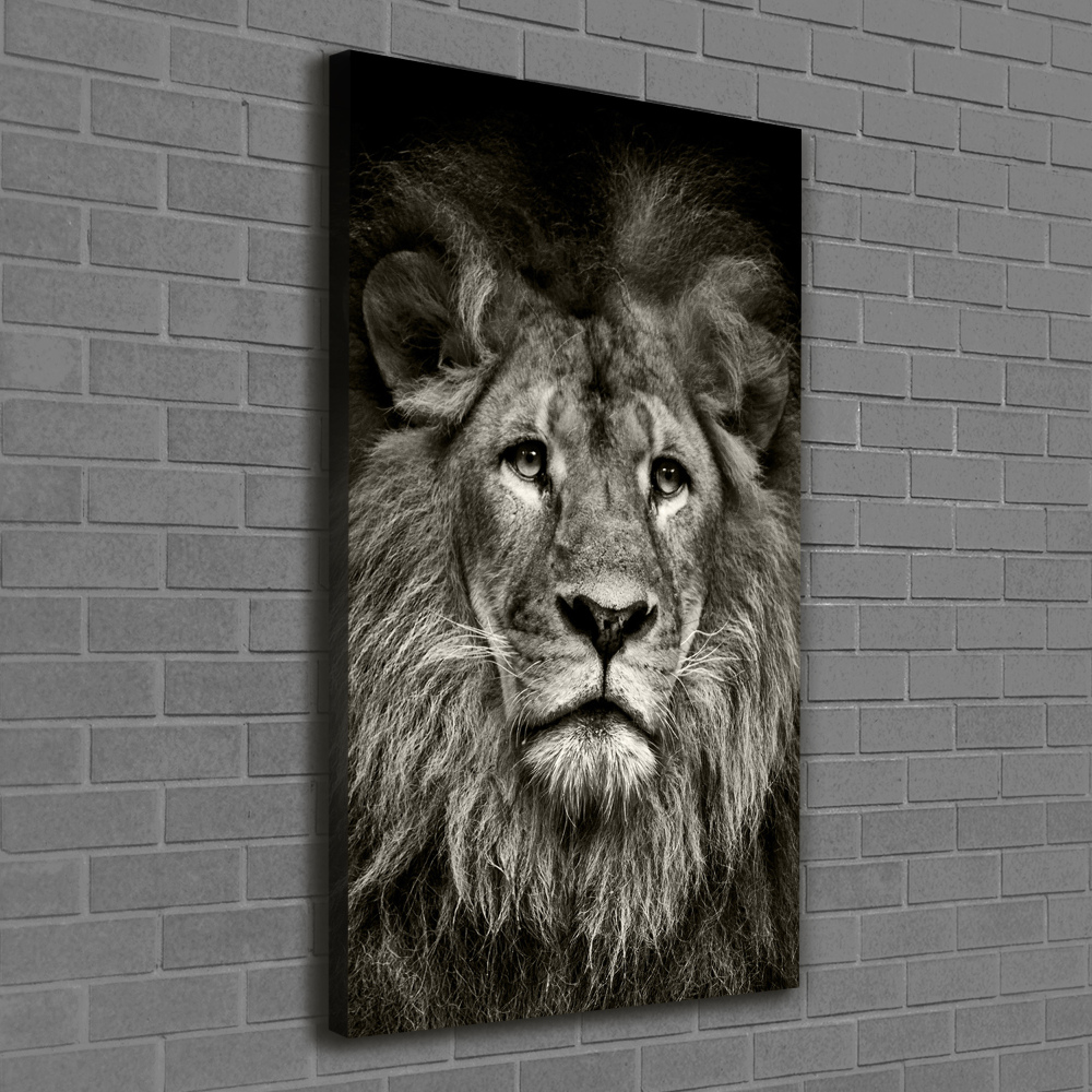 Tableau photo sur toile Lion