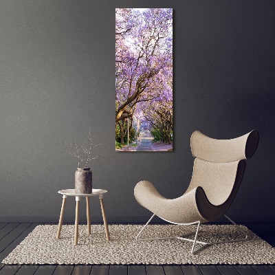 Tableau photo sur toile Sentier Yakaranda