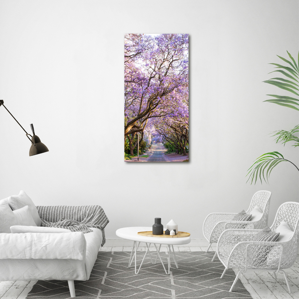 Tableau photo sur toile Sentier Yakaranda