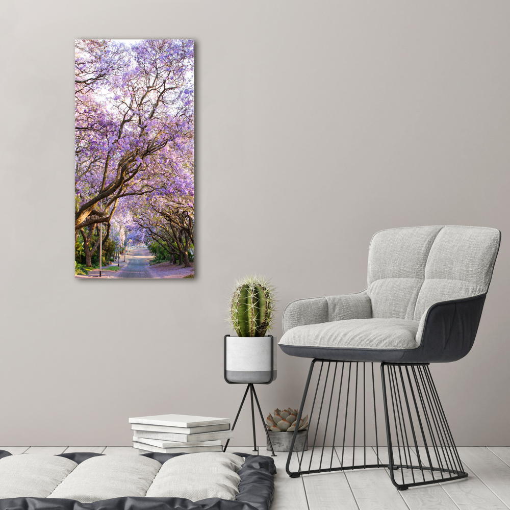 Tableau photo sur toile Sentier Yakaranda