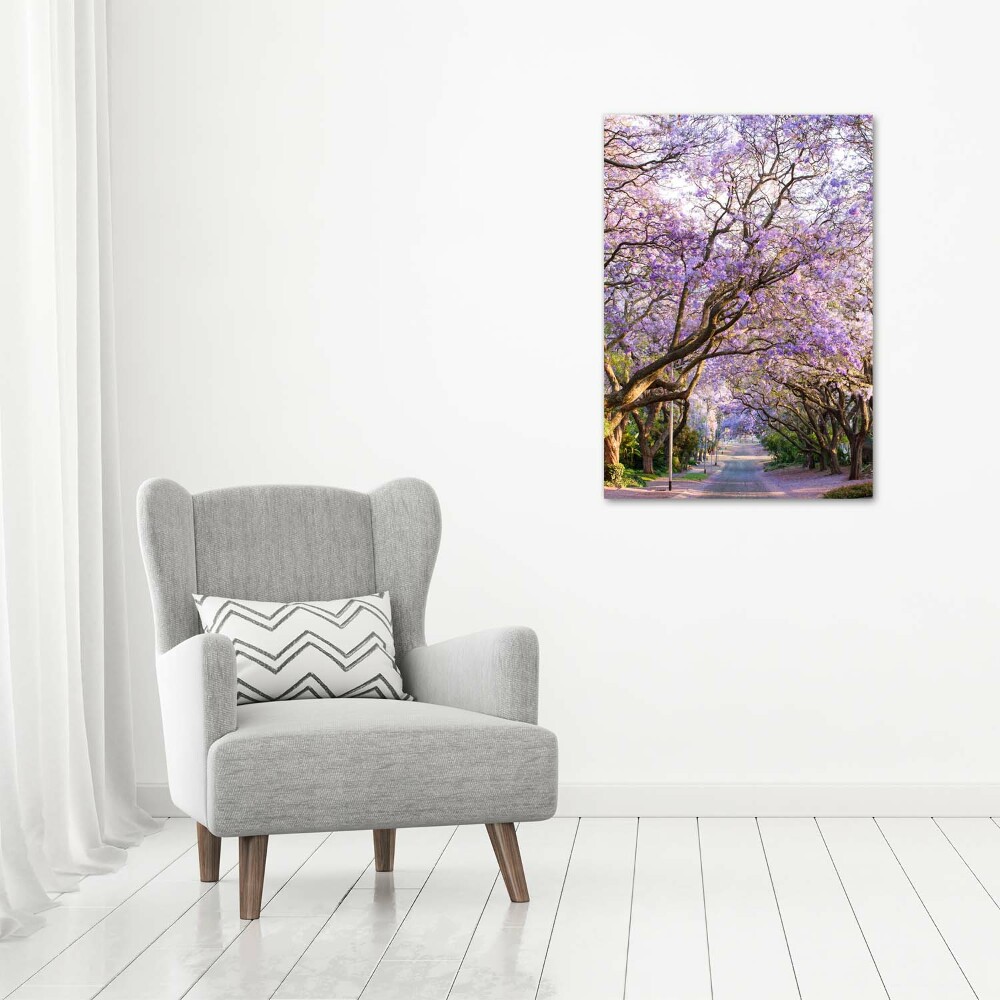 Tableau photo sur toile Sentier Yakaranda