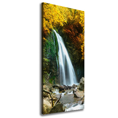 Tableau sur toile Cascade dans la forêt