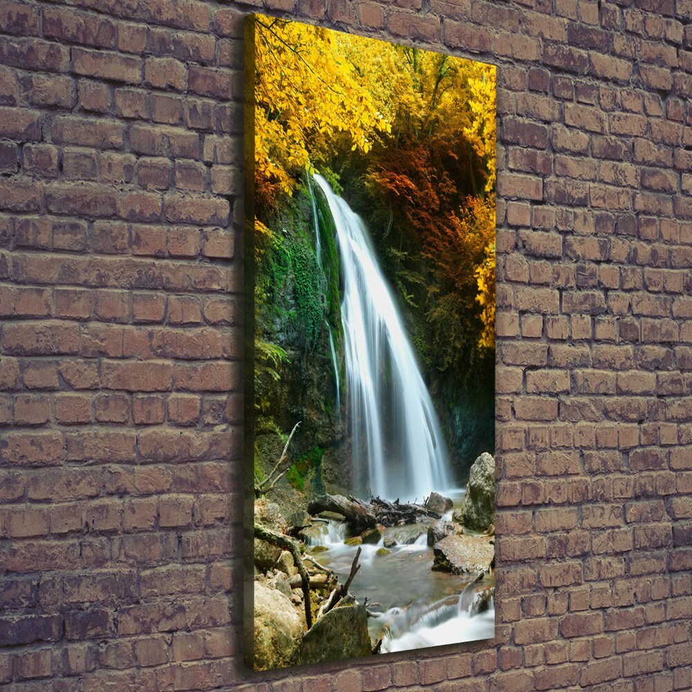 Tableau sur toile Cascade dans la forêt