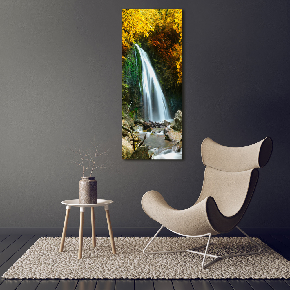 Tableau sur toile Cascade dans la forêt