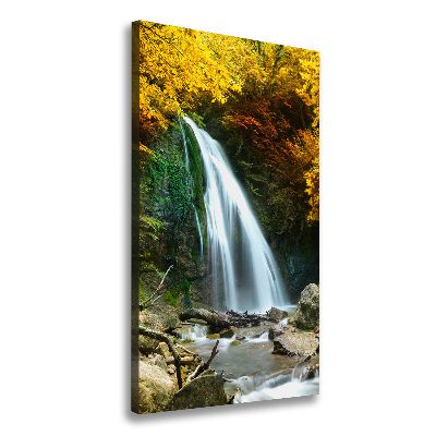 Tableau sur toile Cascade dans la forêt