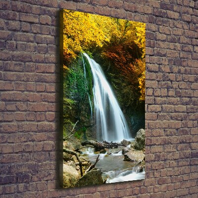 Tableau sur toile Cascade dans la forêt