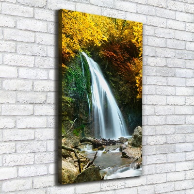 Tableau sur toile Cascade dans la forêt