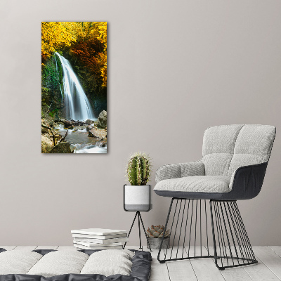 Tableau sur toile Cascade dans la forêt