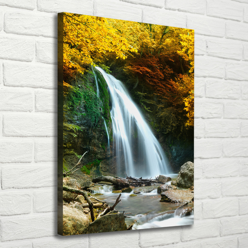 Tableau sur toile Cascade dans la forêt