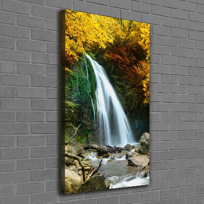 Tableau sur toile Cascade dans la forêt