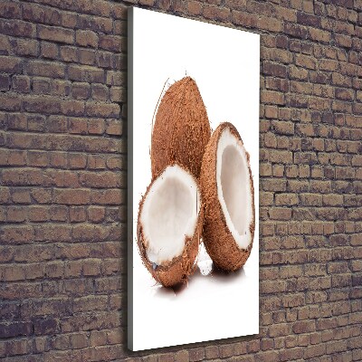 Tableau sur toile Noix de coco