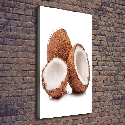 Tableau sur toile Noix de coco