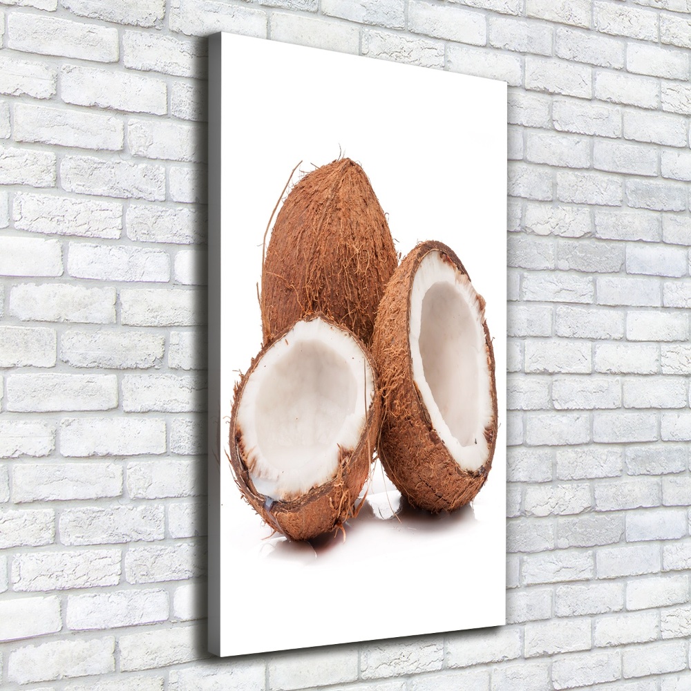 Tableau sur toile Noix de coco