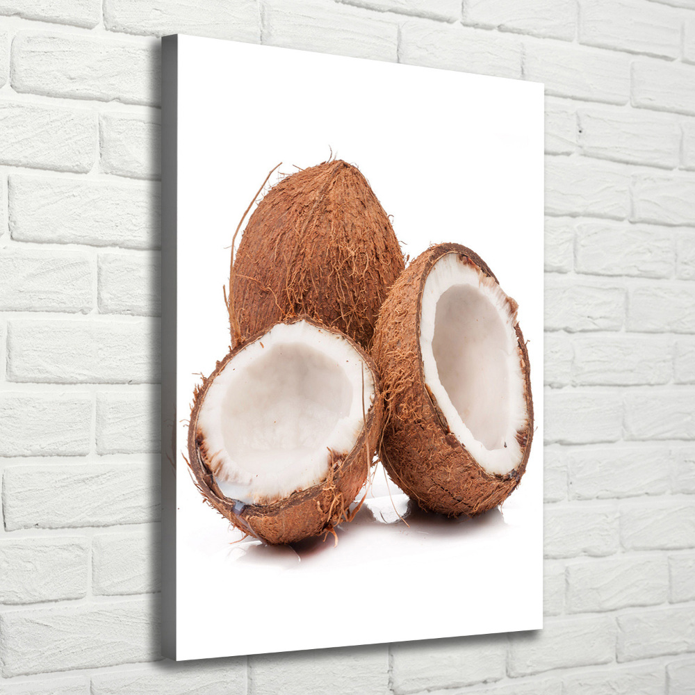 Tableau sur toile Noix de coco