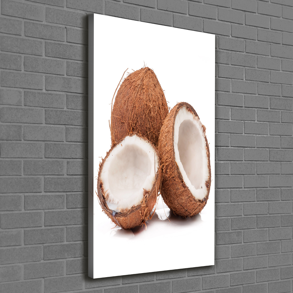 Tableau sur toile Noix de coco