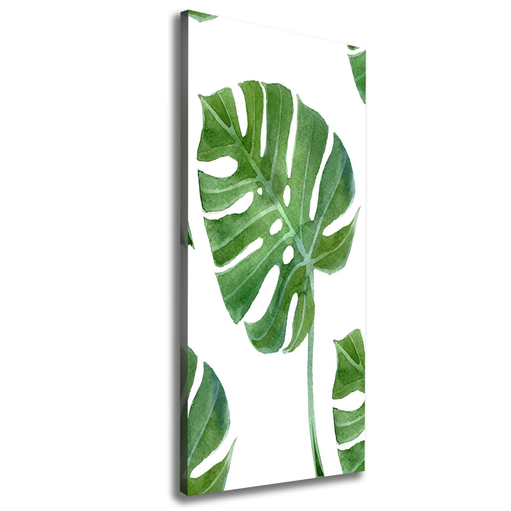 Tableau imprimé sur toile Monstera