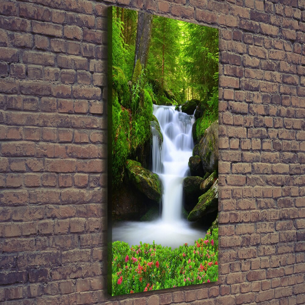 Tableau mural sur toile Chute d'eau dans la forêt