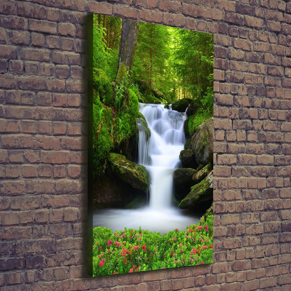 Tableau mural sur toile Chute d'eau dans la forêt