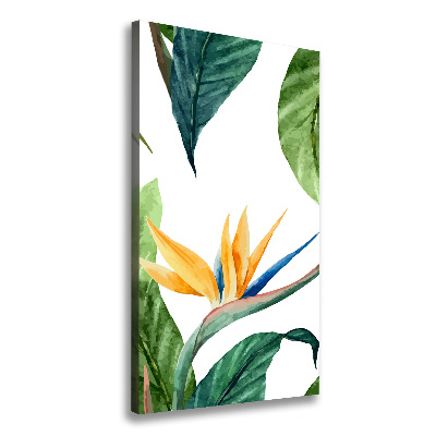 Tableau mural sur toile Strelitzia royal